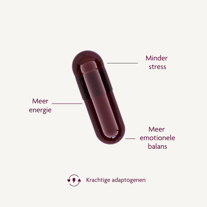 Adaptogenen stress burnout maca ashwaganda