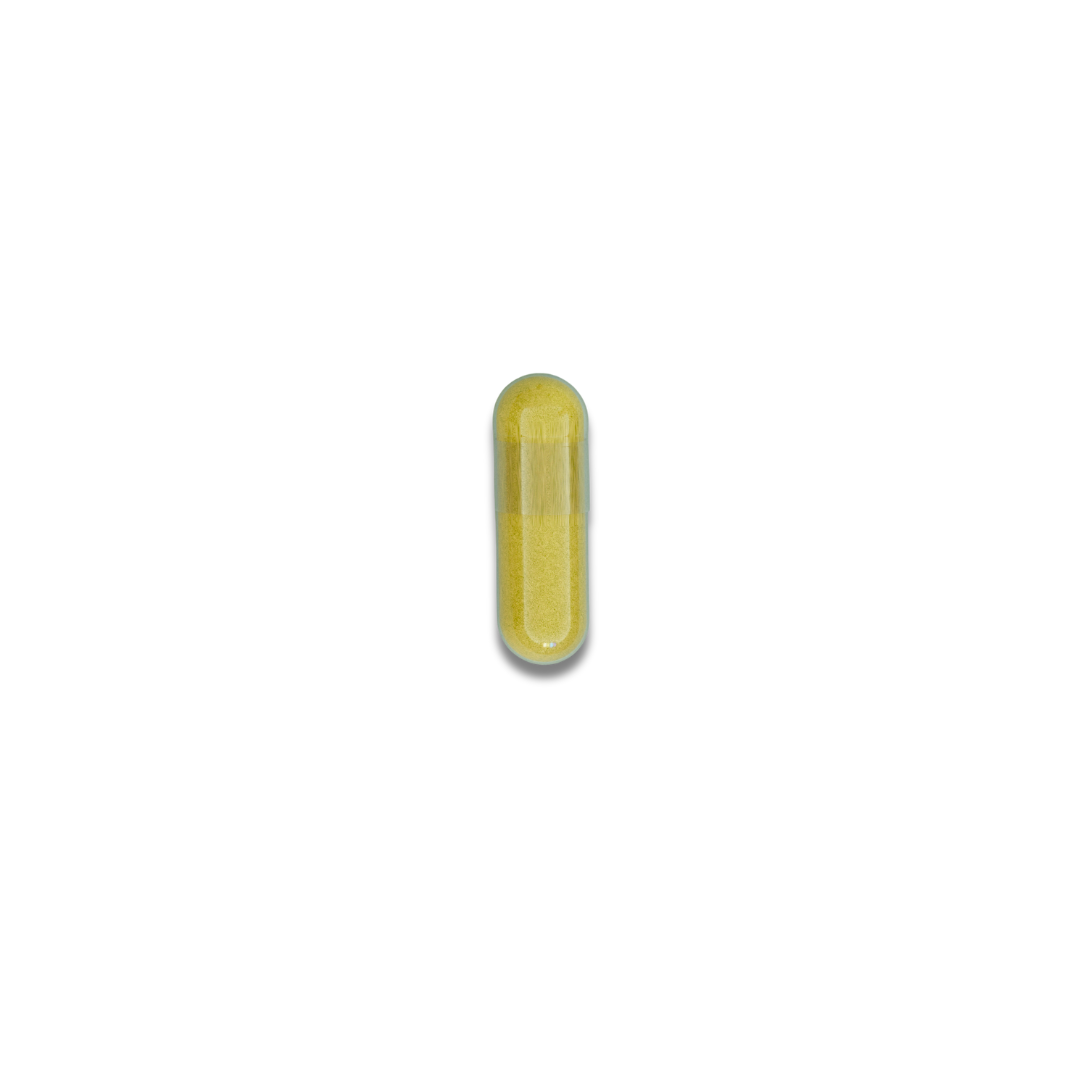 voedingssupplement supplement vitamine kurkuma curcuma curcumine curcuma longa spieren gewrichten botten huid darmflora