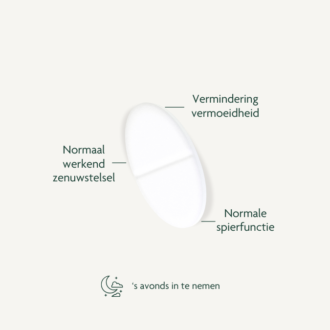 Sport Box: Intensive