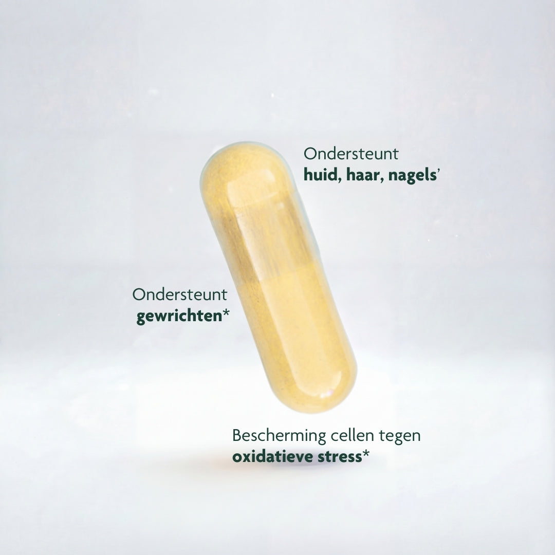 Tissue Building Complex