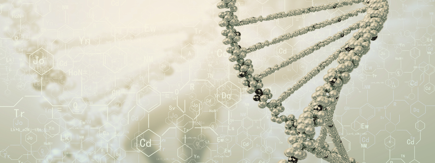 supplementen voedingssupplementen vitamines longevity langer gezond leven 60+ gezonde levensstijl vitaal ouder worden biologische leeftijd chronologische leeftijd vitamine D magnesium omega 3 alzheimer dementie chronische ziektes