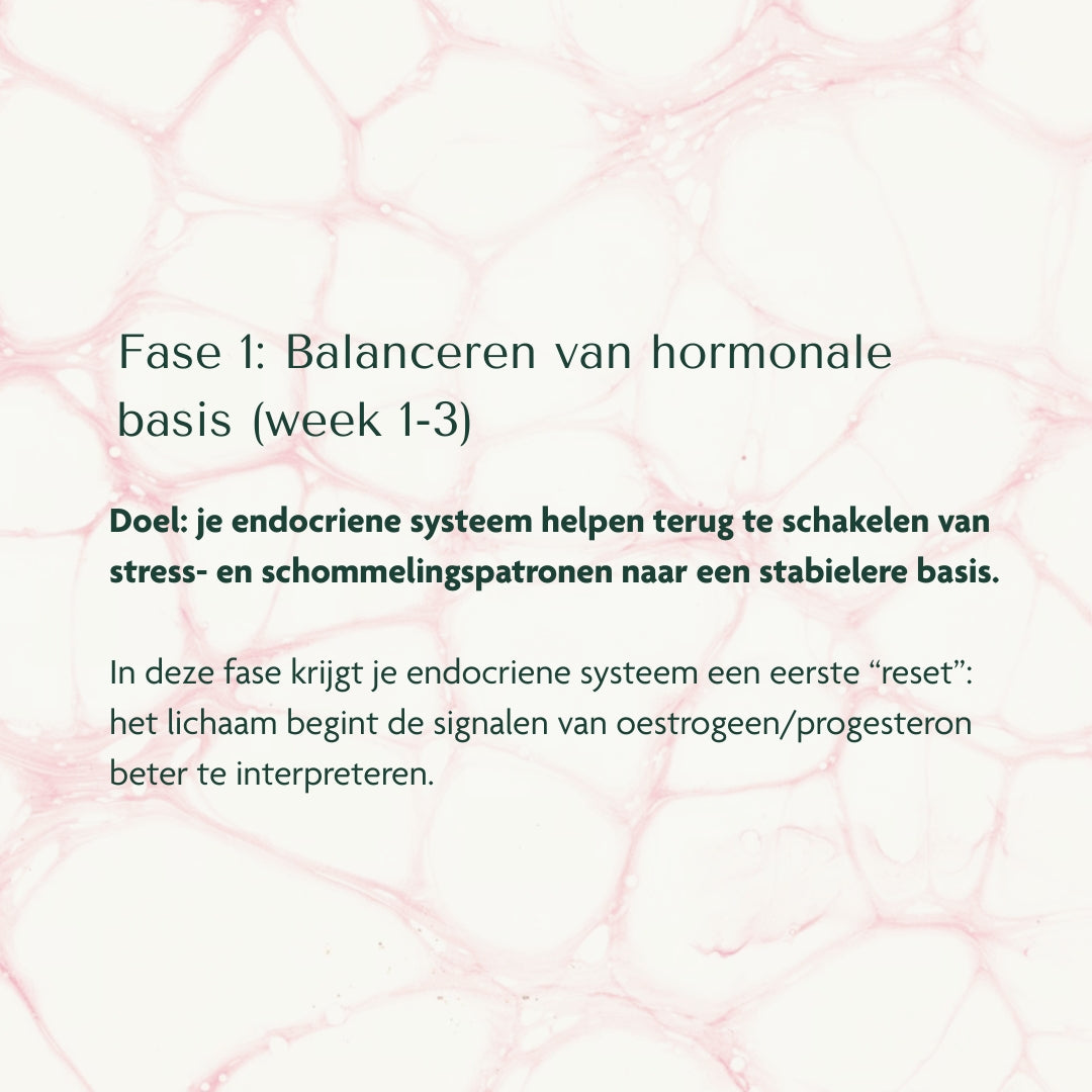 HBX⁺ Complex - Harmony & Balance