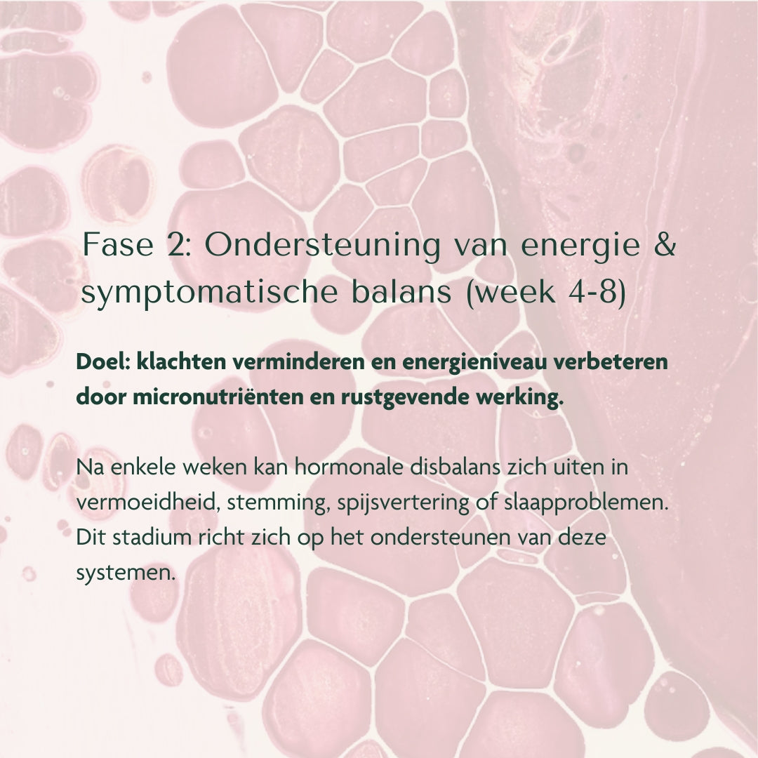 HBX⁺ Complex - Harmony & Balance