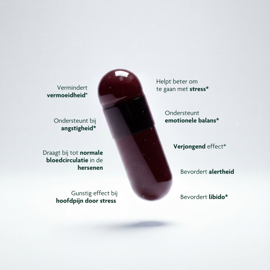 Tournée Minérale Pack