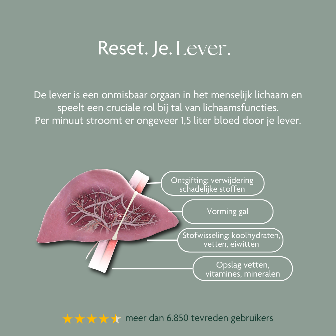 detox boost detox lever ontgifting detox na feestdagen liver health