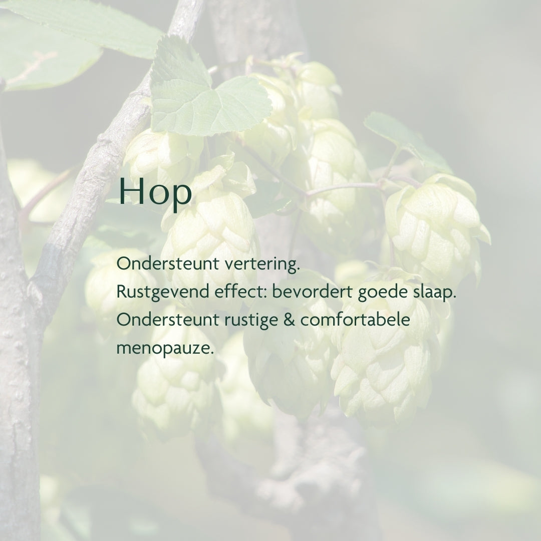 HBX⁺ Complex - Harmony & Balance