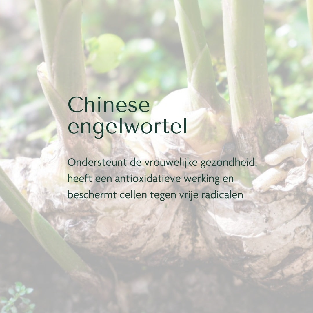 HBX⁺ Complex - Harmony & Balance