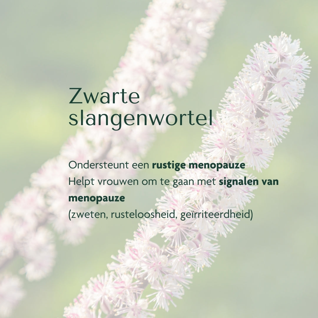 HBX⁺ Complex - Harmony & Balance