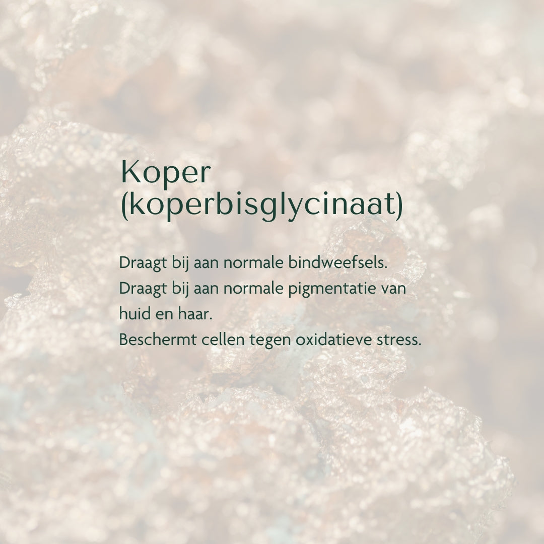 Tissue Building Complex