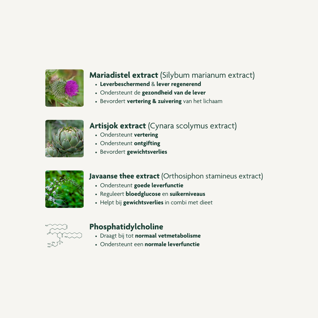 Skin Boost: Antioxidant & Detox Complex