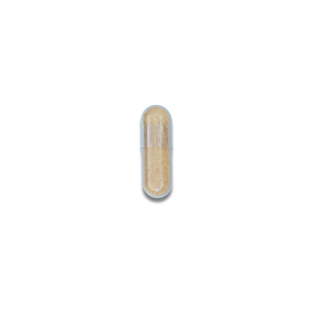 voedingssupplementen vitamines mineralen supplementen immuniteit weerstand winterdip griep verkoudheid luchtwegen bronchiale gezondheid rode zonnehoed extract echinacea purpurea vitamine C vitamine D vitamine D3 astragalus