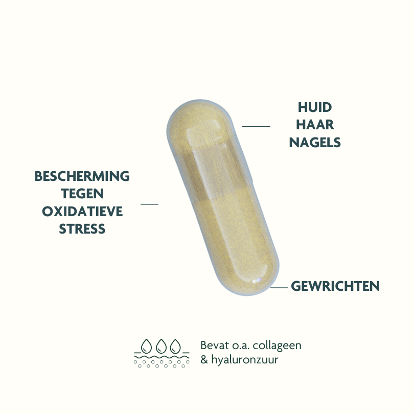 Menopauze Routine: hormonale balans, energie, stress & huid