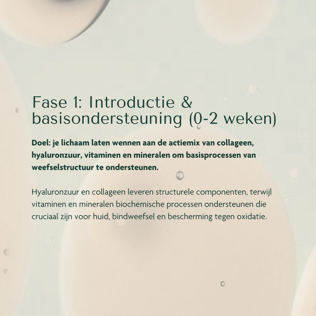 Tissue Building Complex