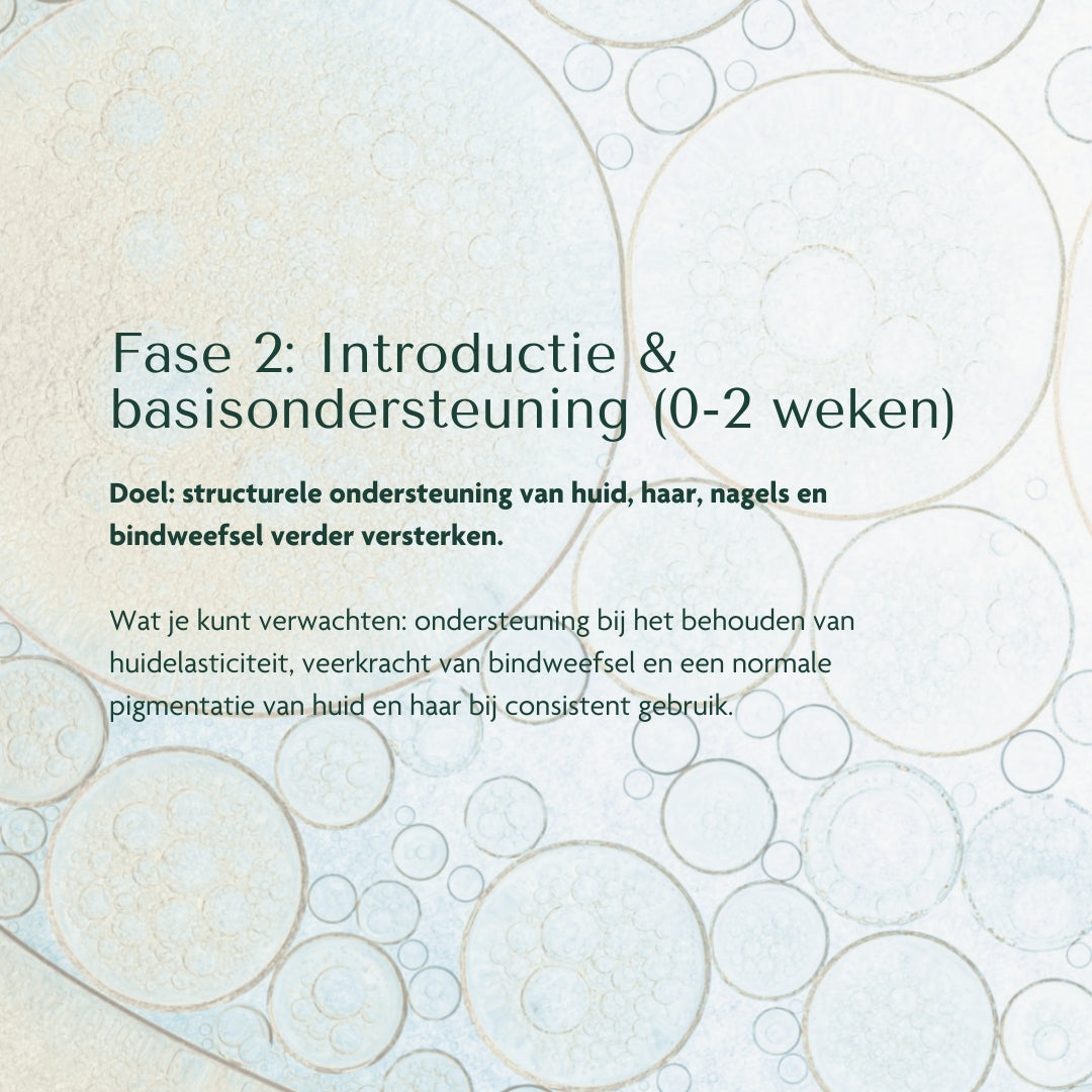 Tissue Building Complex